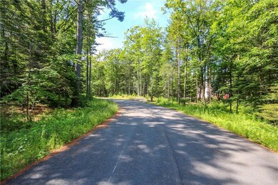 Kelsey Brook in the Summer