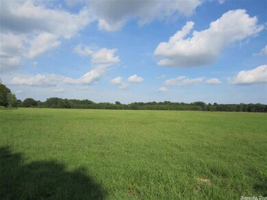 31.5 acres Ponderosa Dr, Jonesboro, AR 72401 - photo 5
