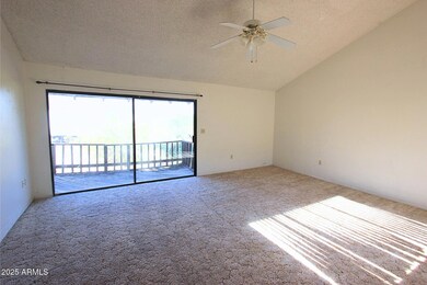 828 E Junction St unit 832, Apache Junction, AZ 85119 - photo 2