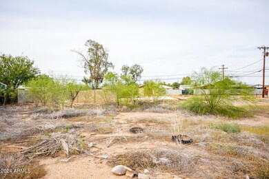 Looking North
