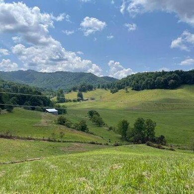 0000 Phipps Creek Rd, Burnsville, NC 28714 - photo 4