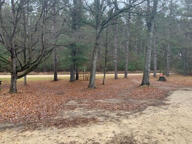 8387 E 7 Mile Rd, Luther, MI 49656 - photo 4