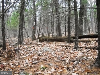 2245 Red Bird Dr, Stanardsville, VA 22973 - photo 2