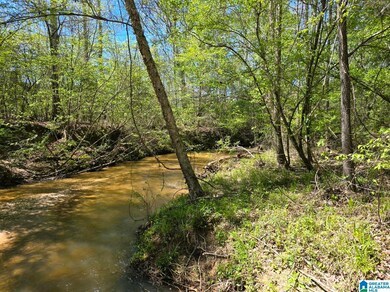 0 Highway 82 unit 21381429, Maplesville, AL 36750 - photo 3