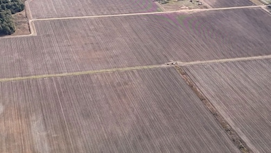 733 Highway 2, Oak Grove, LA 71263 - photo 2