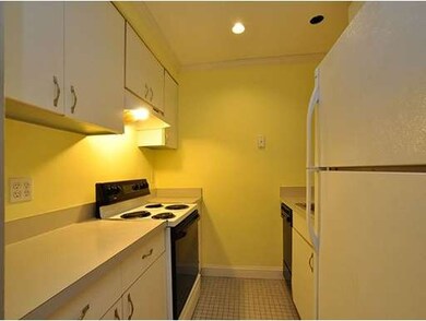 20 E Springfield St unit 1, Boston, MA 02118 - photo 3