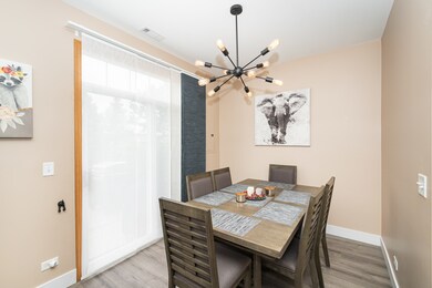 6777 Slate Dr unit 963, Carpentersville, IL 60110 - photo 6