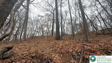 0 W Lafayette St, Easton, PA 18042 - photo 3