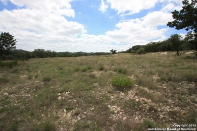 24711 Clearwater Run, Leon Sprin, TX 78255 - photo 7