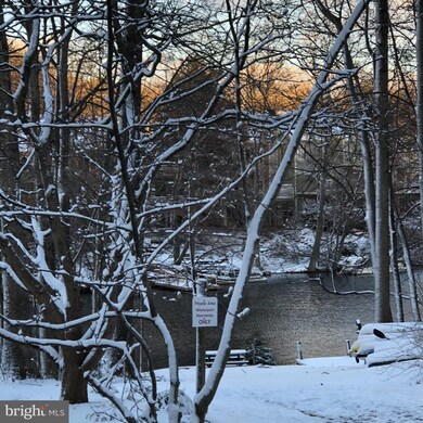 1970 Winterport Cluster, Reston, VA 20191 - photo 4