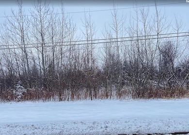 Vacant Lot W 167th St, Homer Glen, IL 60441 - photo 6