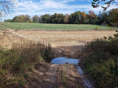 96.6 AC Reinhart Rd, Perry Township, IN 47553 - photo 4