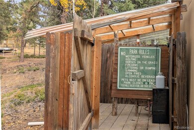 3447 Pathfinder Rd, Florissant, CO 80816 - photo 4