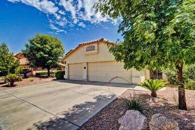 Easy Care Desert Front Yard