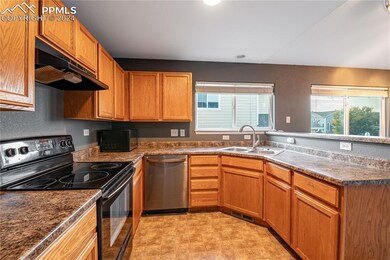 10612 Deer Meadow Cir, Colorado Springs, CO 80925 - photo 6