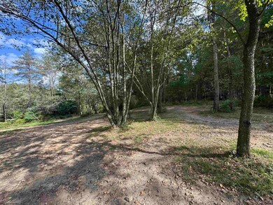 TBD Rapp Dr, Davis, WV 26260 - photo 6