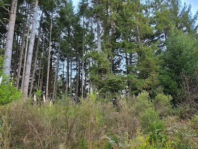 0 Sea Foam Dr, Crescent City, CA 95531 - photo 7