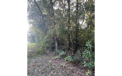 0 SW Iowa Dr unit 121111, Fort White, FL 32038 - photo 3