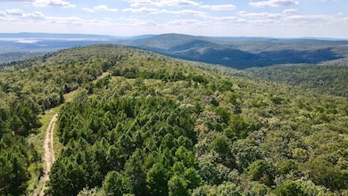 0 Aslin Prairie Rd unit 22990166, Talihina, OK 74571 - photo 2