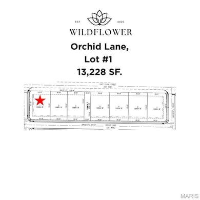 Lot #1 Survey Detail