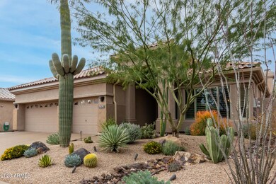 Premium landscaping in Grayhawk.