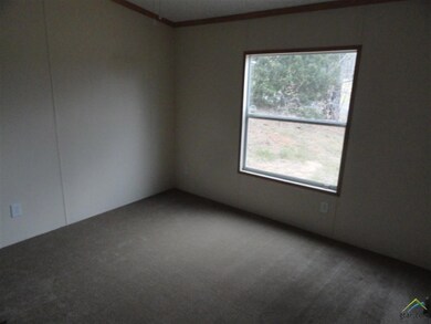 10304 County Road 21, Tyler, TX 75707 - photo 6