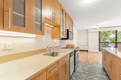 50 Longwood Ave unit 518, Brookline, MA 02446 - photo 4