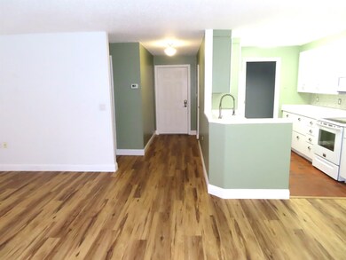 Front door w/hallway closet