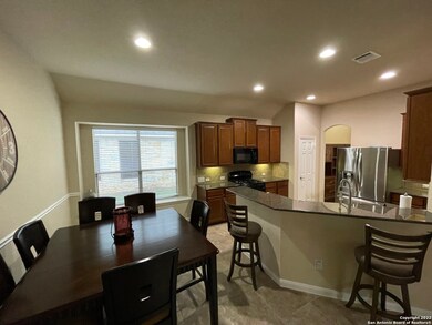 3719 Texas Sotol, San Antonio, TX 78261 - photo 6