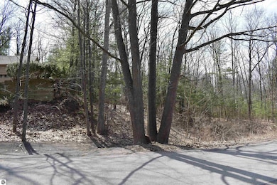 377 Peninsula Knolls Ln, Traverse City, MI 49686 - photo 3