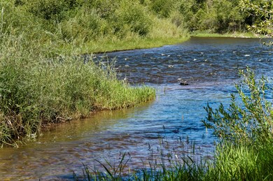 Roaring Fork River View from Homesite