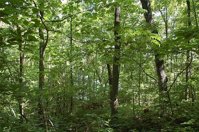 1054 Seven Forks Rd, Martin, GA 30557 - photo 4