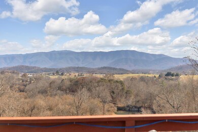 32-web-or-mls-217A2829