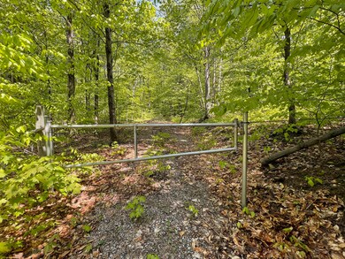 2400 Tower Rd, Hudson Township, MI 49795 - photo 5