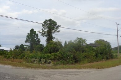 2516 31st St SW, Lehigh Acres, FL 33976 - photo 6