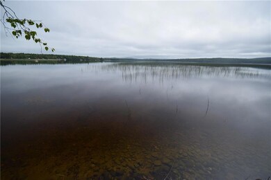Madagascal Pond