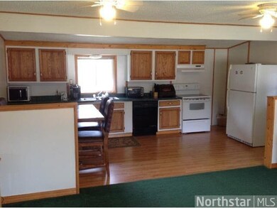 35887 Nighthawk Trail, Cushing, MN 56443 - photo 3