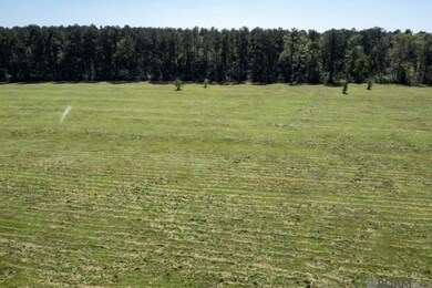 V3 Jim Price Rd, Clinton, LA 70722 - photo 5