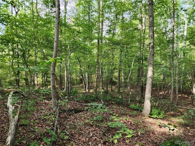 Lot 3 Walnut Shade Rd, Louisa, VA 23093 - photo 5