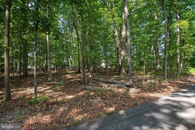 0 Laurel Hill Rd unit WVJF2012702, Harpers Ferry, WV 25425 - photo 5