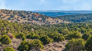 18946 County Road 57, Maybell, CO 81640 - photo 6