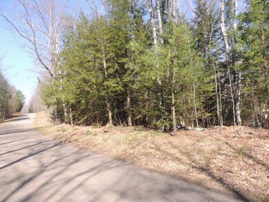 ON S Shore Ln unit 5.37 Ac., Deerbrook, WI 54424 - photo 4