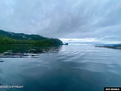 0 Legal Address Only unit Lot 4, Parcel E, US, Hollis, AK 99921 - photo 3