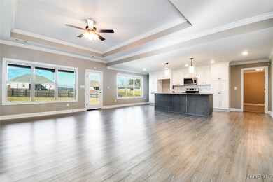 Living Room and Kitchen