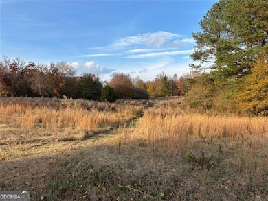 222 Norman Rd, Athens, GA 30607 - photo 7