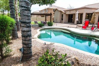 Gorgeous Pool
