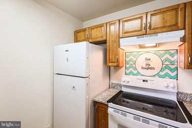 Columbia Towers Condominium unit 517, Silver Spring, MD 20904 - photo 4