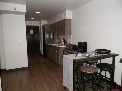 Tamarron Condos unit 342, Durango, CO 81301 - photo 3