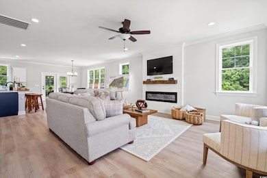 Living room featuring ornamental molding, a glass covered fireplace, ceiling fan, plenty of natural light, and light wood-style floors
