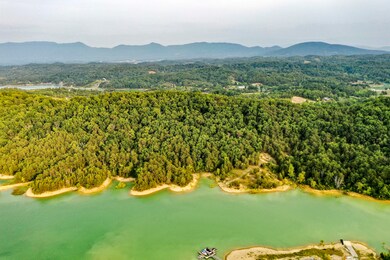 0 Parrotts Chapel Rd unit 1345667, Sevierville, TN 37876 - photo 7